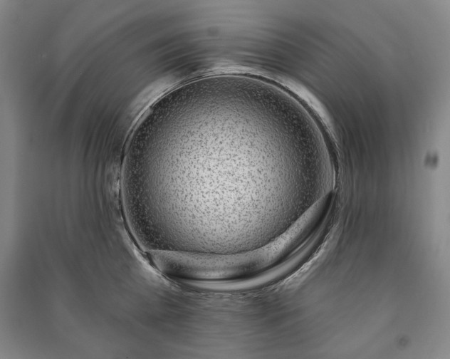 X0000091210809200708161542