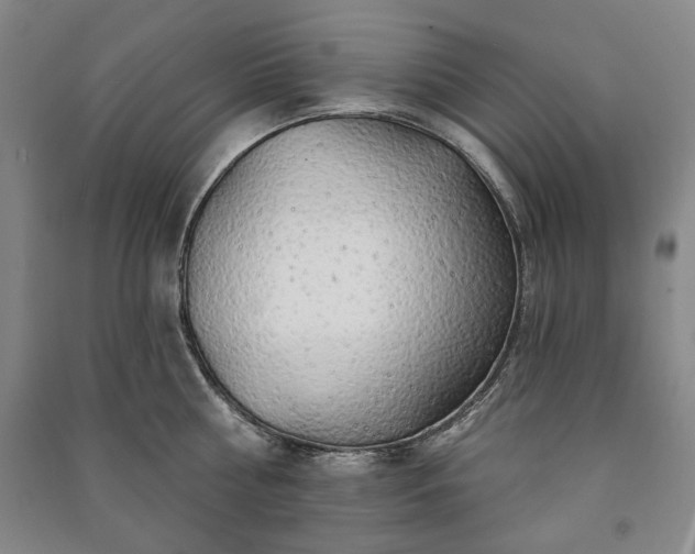 X0000091210810200708161542