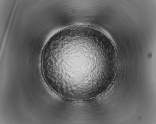 X0000091210811200708161542