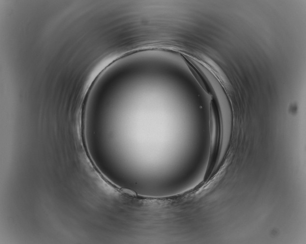 X0000091210812200708161541