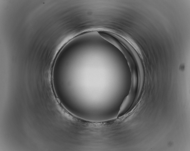 X0000091210813200708161541
