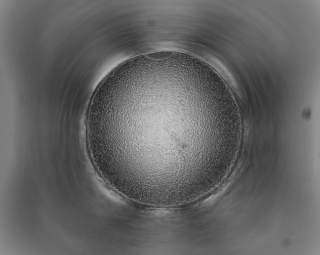 X0000091210814200708161541