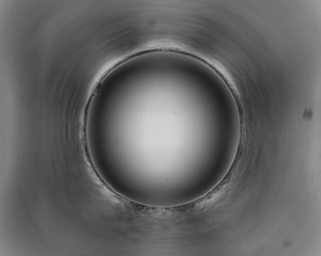 X0000091210815200708161541