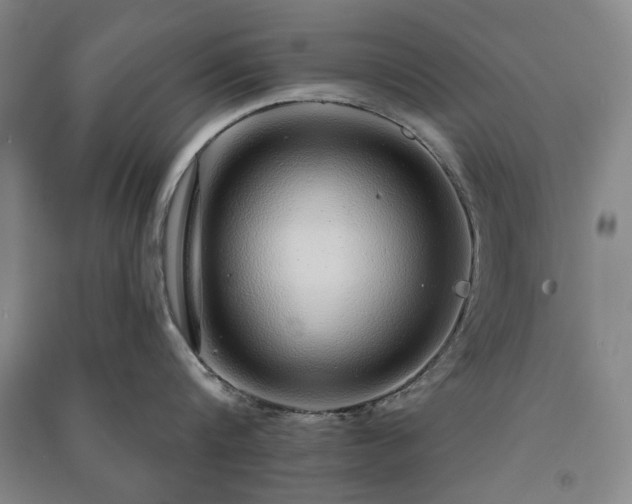 X0000091210816200708161541