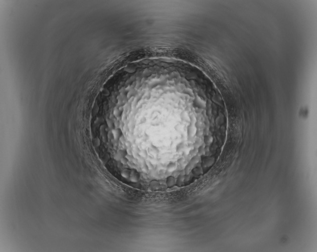 X0000091210817200708161541