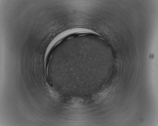 X0000091210818200708161541
