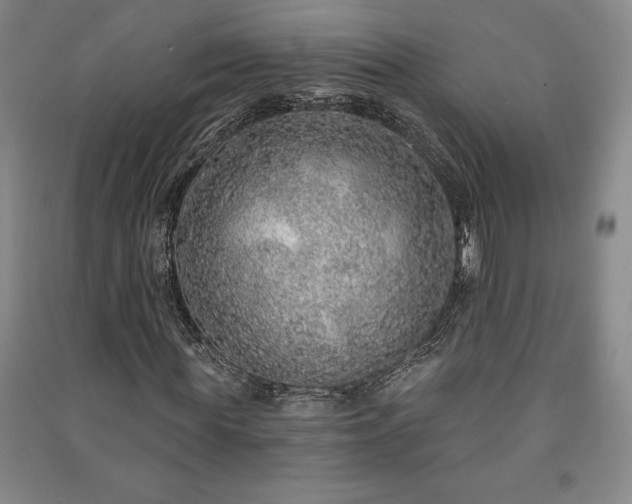 X0000091210819200708161541