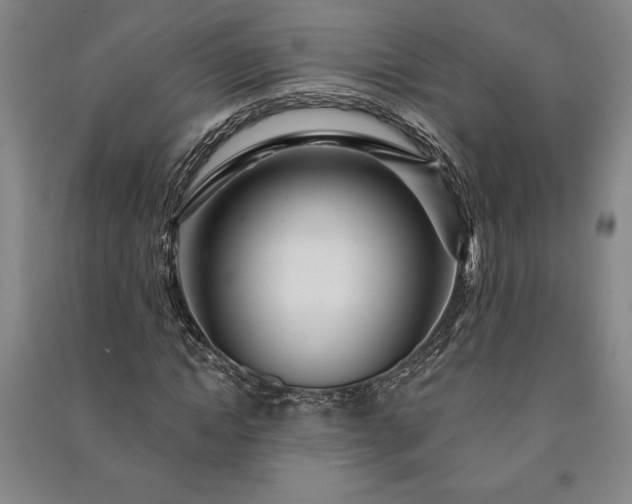 X0000091210822200708161541
