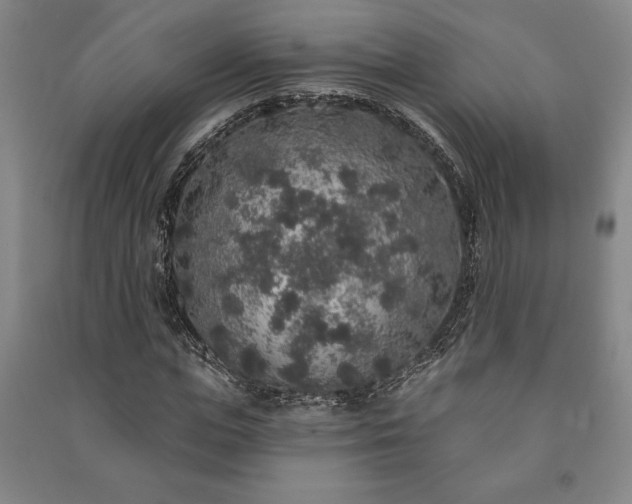X0000091210823200708161541