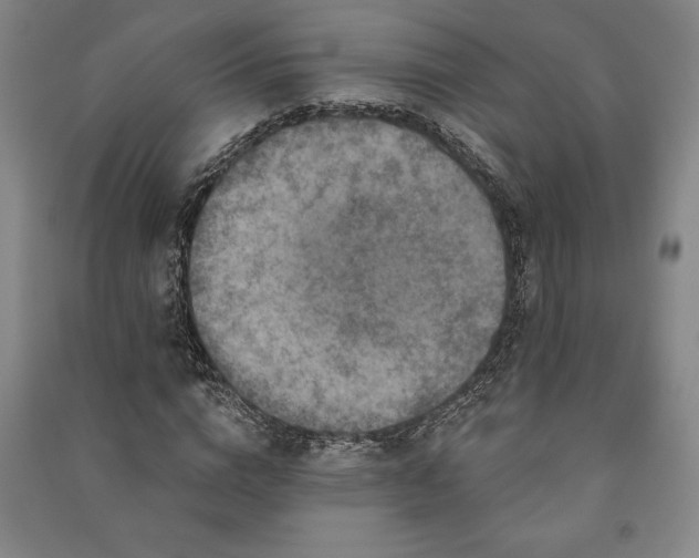 X0000091210824200708161541