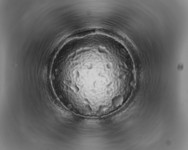 X0000091210825200708161541