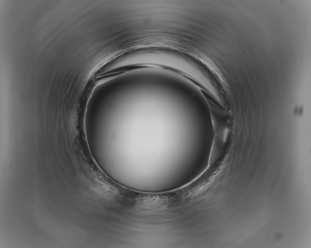 X0000091210826200708161541