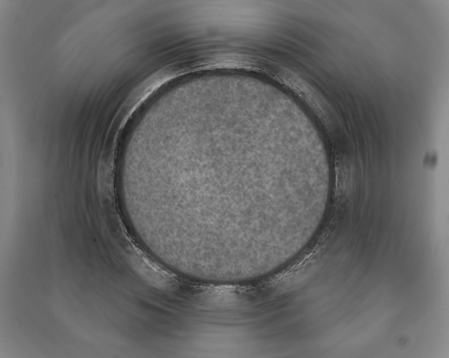 X0000091210828200708161541