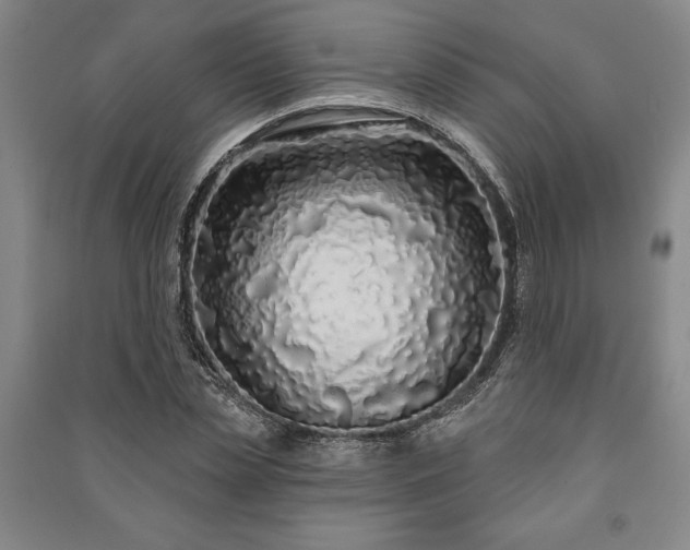 X0000091210829200708161541