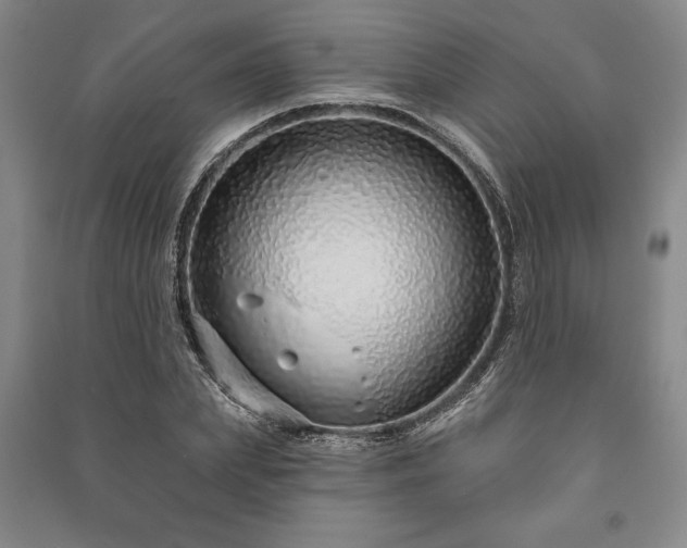 X0000091210831200708161541