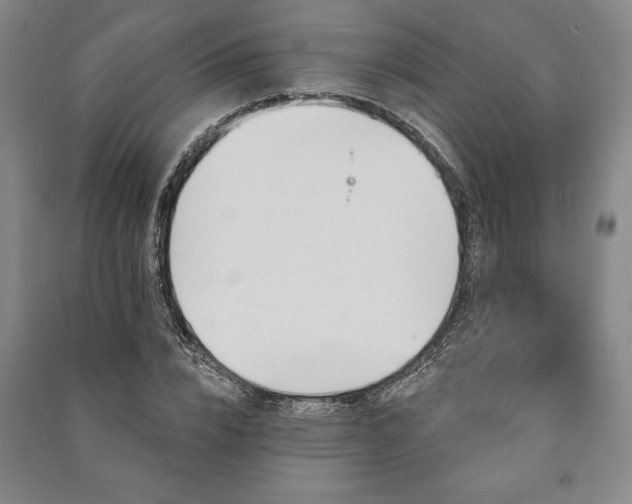 X0000091210832200708161541