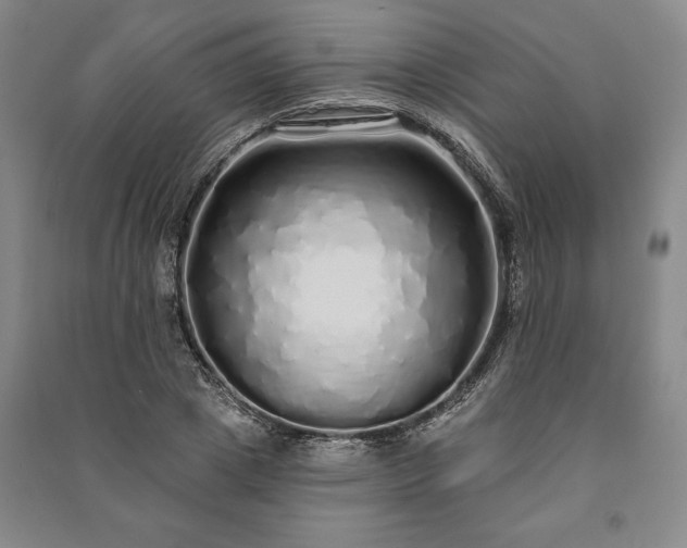X0000091210833200708161541