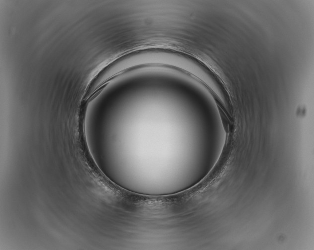 X0000091210834200708161541