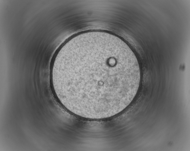 X0000091210836200708161541