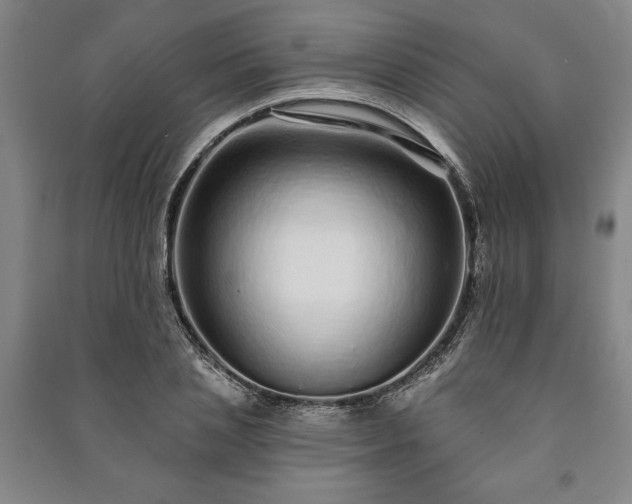 X0000091210837200708161541