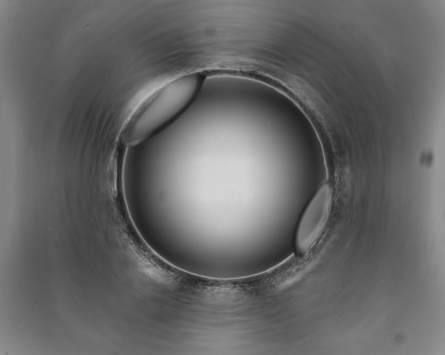 X0000091210838200708161541