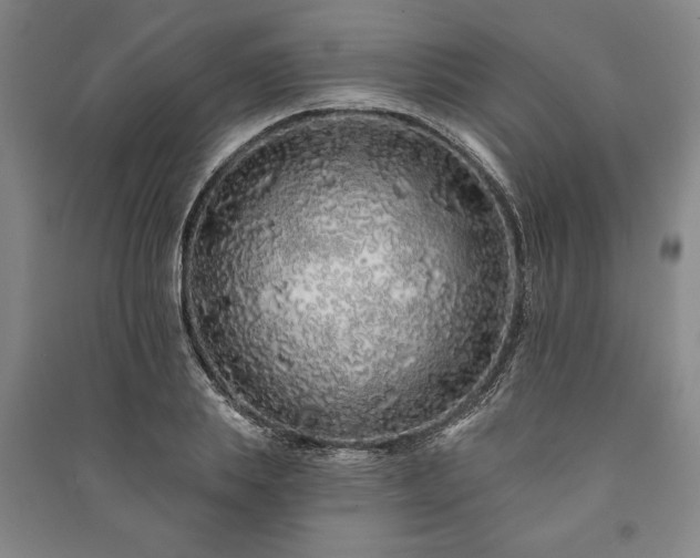 X0000091210839200708161541