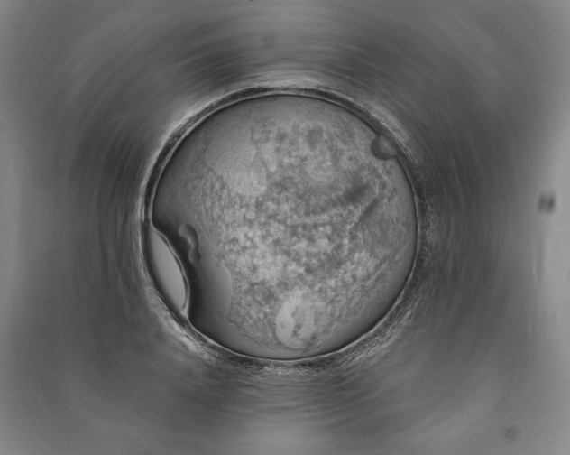 X0000091210840200708161541
