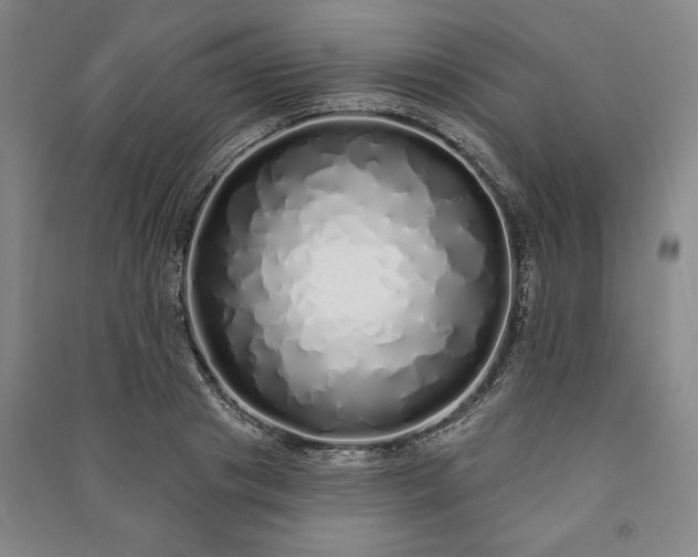 X0000091210841200708161541