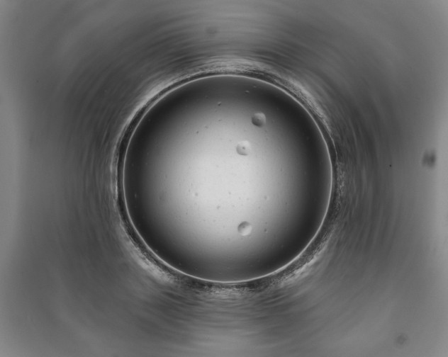 X0000091210843200708161541