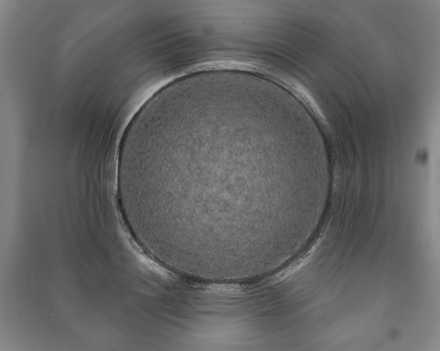 X0000091210844200708161541