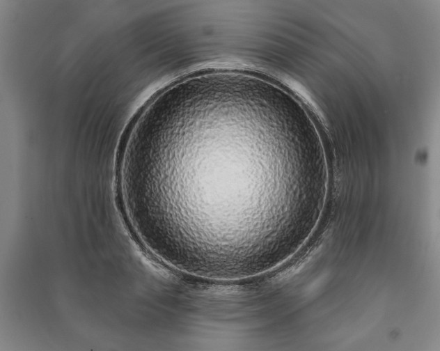 X0000091210845200708161541