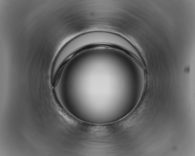 X0000091210846200708161541