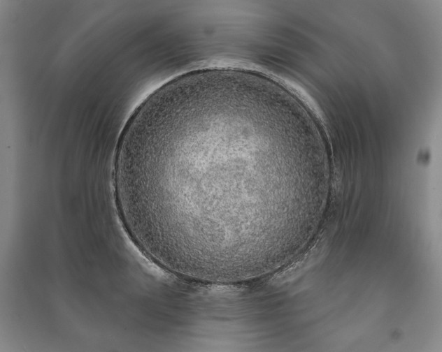 X0000091210847200708161541