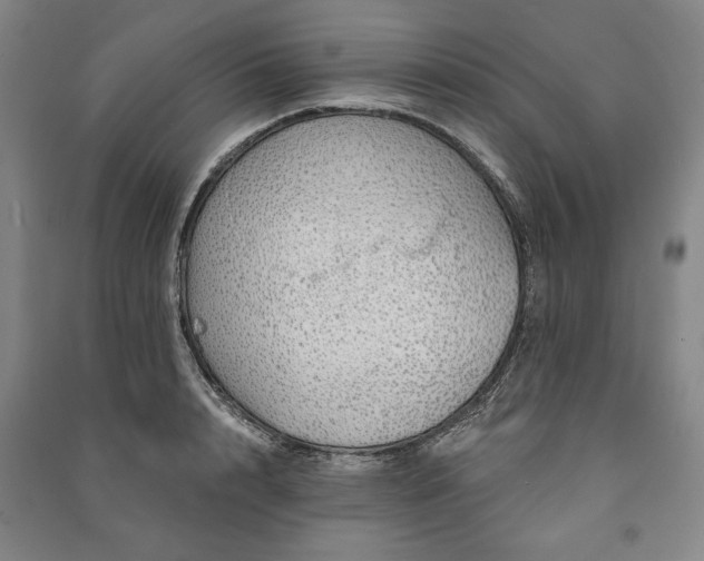 X0000091210848200708161541
