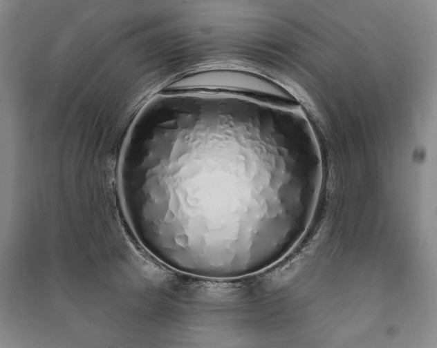 X0000091210849200708161541