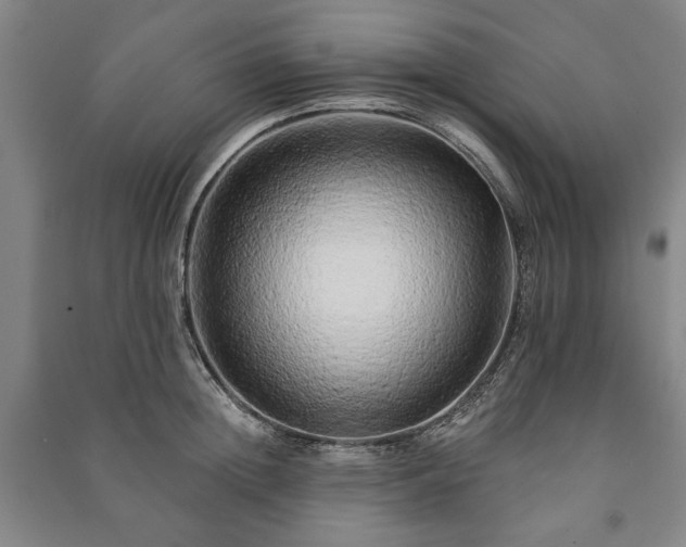 X0000091210852200708161541