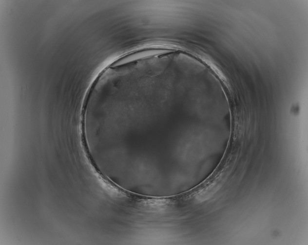 X0000091210853200708161541