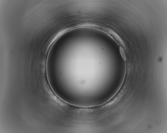 X0000091210860200708161541