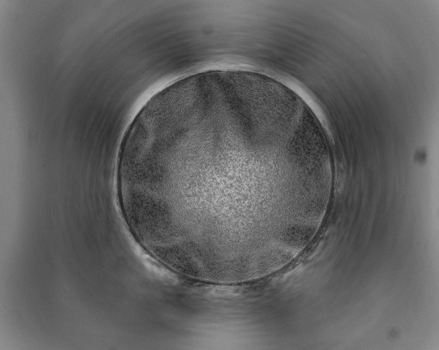 X0000091210861200708161541