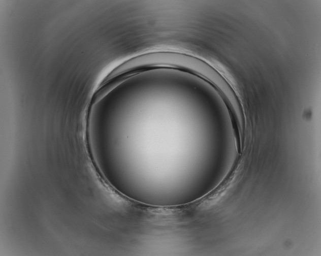 X0000091210862200708161541