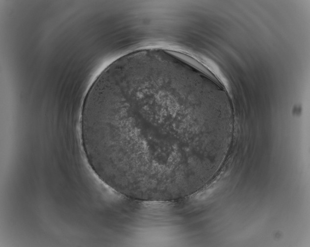 X0000091210863200708161541