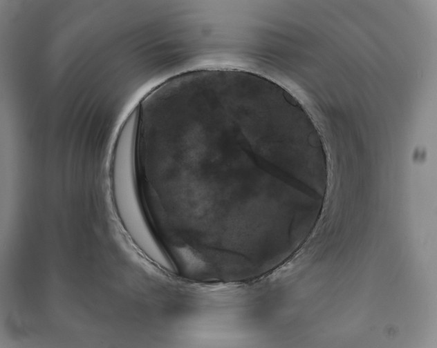 X0000091210864200708161541