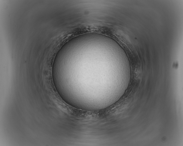 X0000091210865200708161541