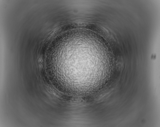 X0000091210866200708161541