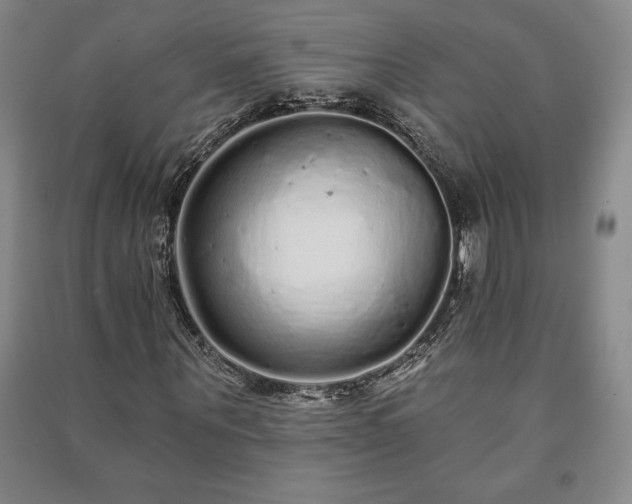 X0000091210867200708161541