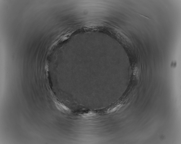 X0000091210868200708161541