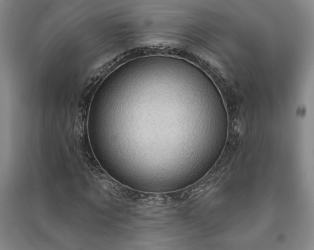 X0000091210869200708161541