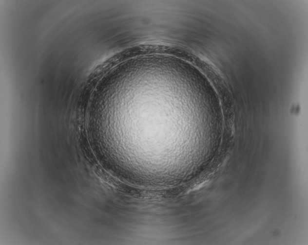 X0000091210870200708161541