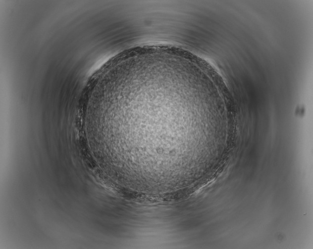 X0000091210871200708161541