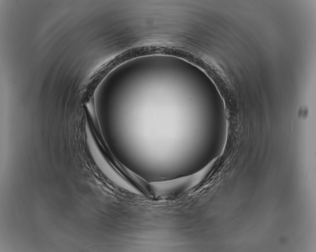 X0000091210872200708161541